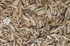 biomass boilers Slackhall